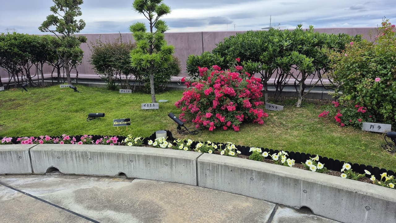 松原市民松原図書館